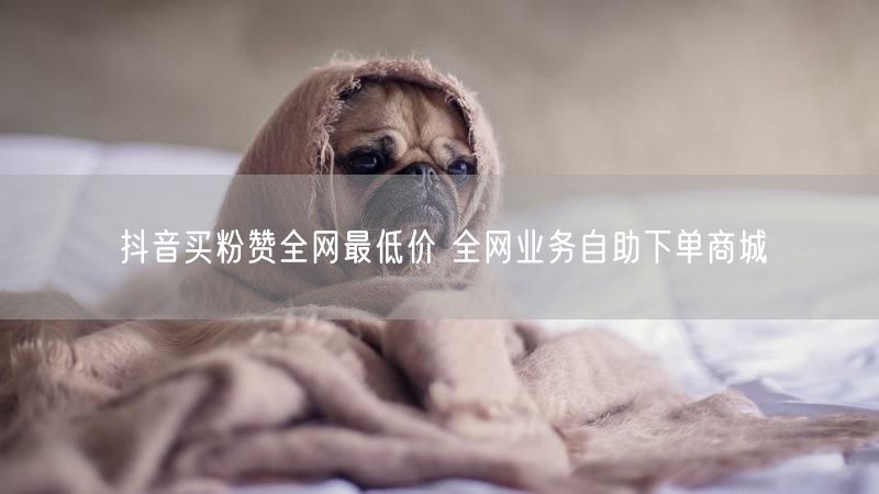 抖音买粉赞全网最低价 全网业务自助下单商城