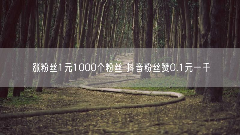 涨粉丝1元1000个粉丝 抖音粉丝赞0.1元一千