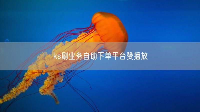 ks刷业务自助下单平台赞播放