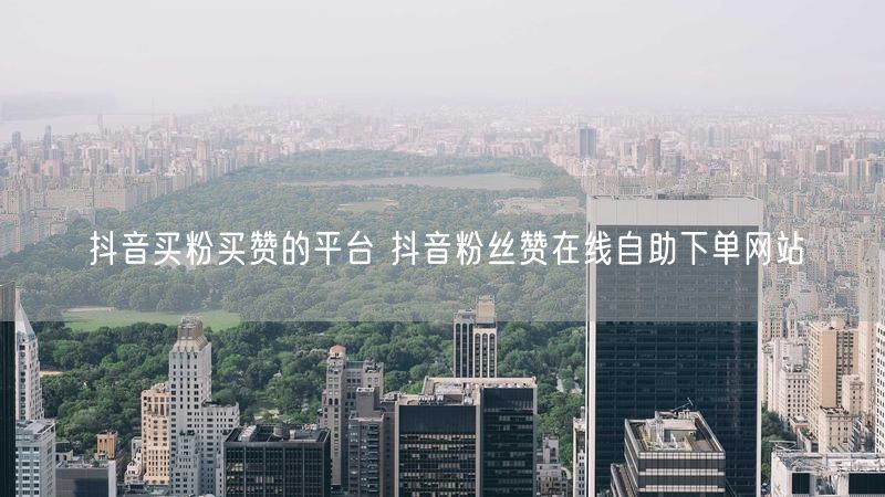 抖音买粉买赞的平台 抖音粉丝赞在线自助下单网站