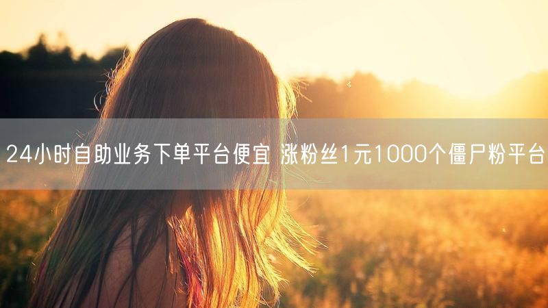 24小时自助业务下单平台便宜 涨粉丝1元1000个僵尸粉平台