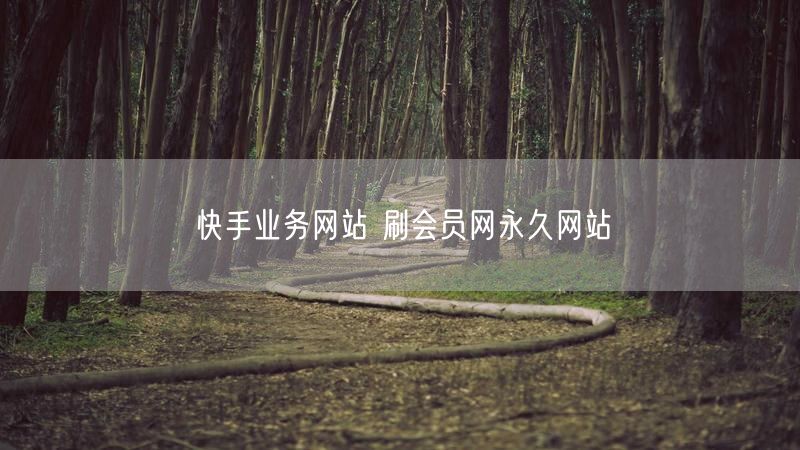 快手业务网站 刷会员网永久网站
