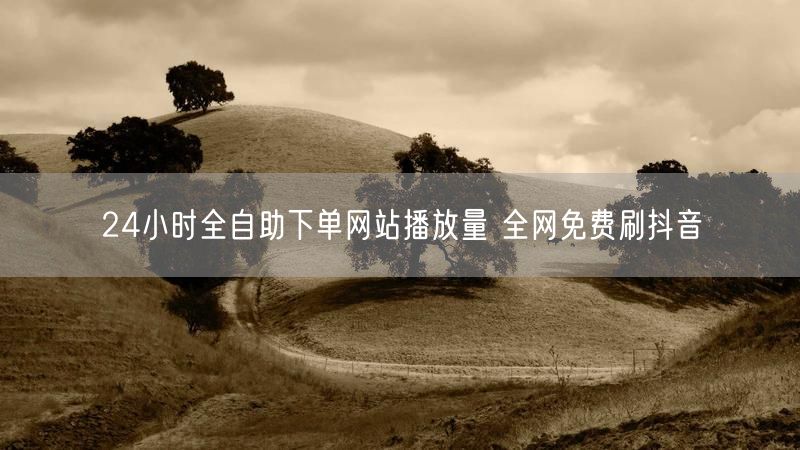 24小时全自助下单网站播放量 全网免费刷抖音