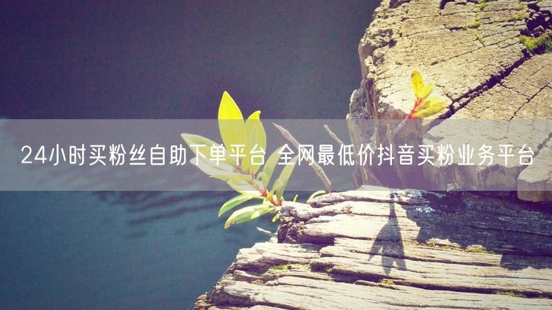 24小时买粉丝自助下单平台 全网最低价抖音买粉业务平台