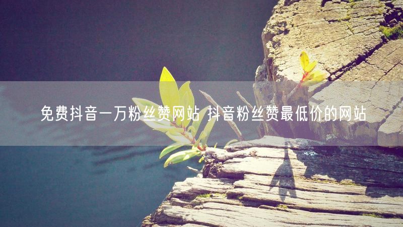 免费抖音一万粉丝赞网站 抖音粉丝赞最低价的网站