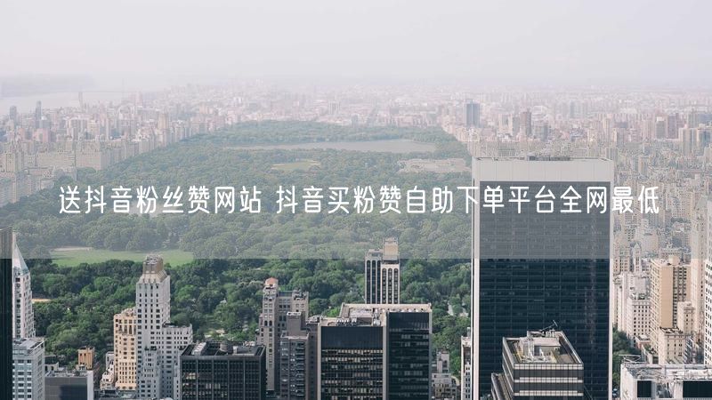 送抖音粉丝赞网站 抖音买粉赞自助下单平台全网最低
