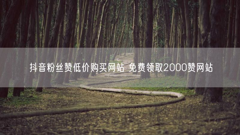 抖音粉丝赞低价购买网站 免费领取2000赞网站