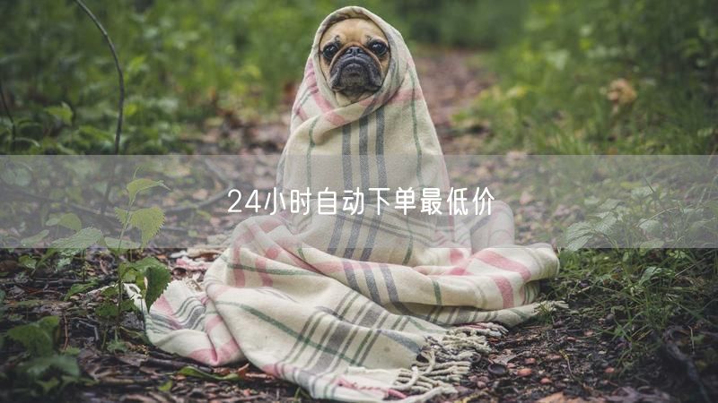 24小时自动下单最低价