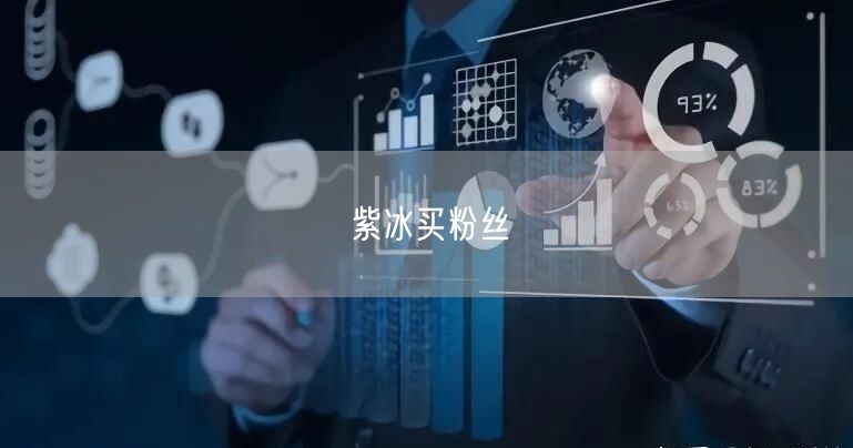 紫冰买粉丝