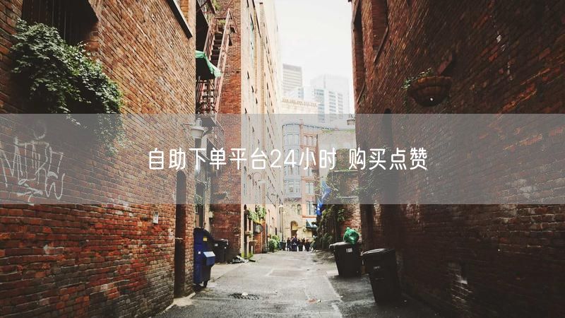 自助下单平台24小时 购买点赞