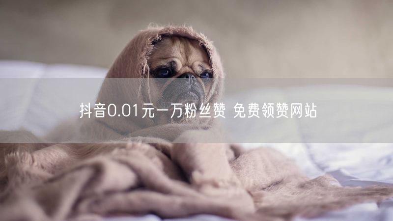 抖音0.01元一万粉丝赞 免费领赞网站