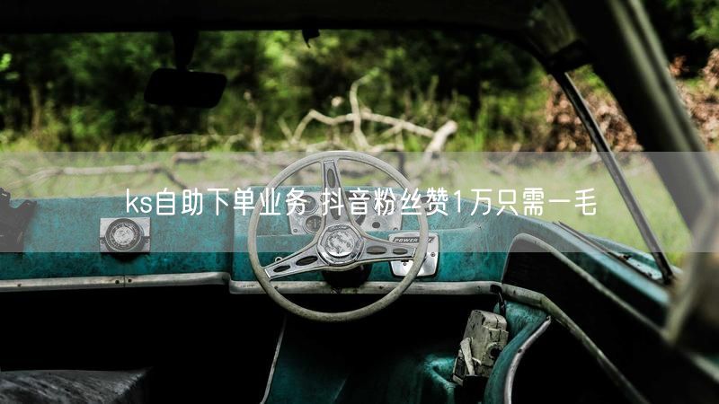 ks自助下单业务 抖音粉丝赞1万只需一毛