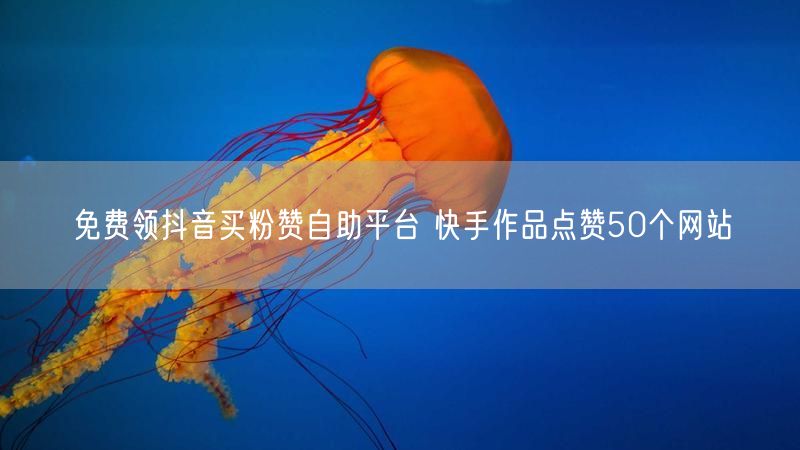 免费领抖音买粉赞自助平台 快手作品点赞50个网站