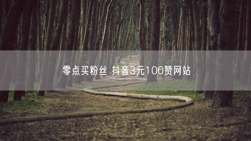 零点买粉丝 抖音3元100赞网站