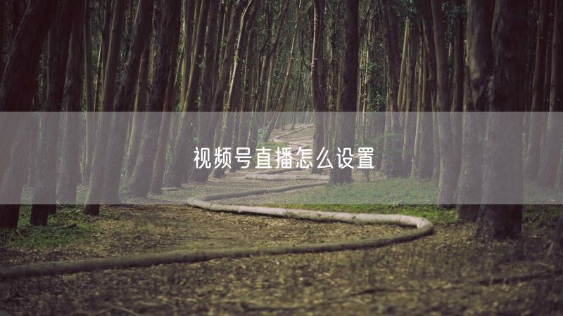 视频号直播怎么设置