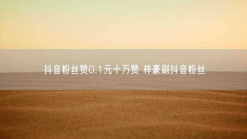 抖音粉丝赞0.1元十万赞 梓豪刷抖音粉丝