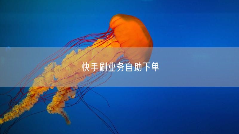 快手刷业务自助下单