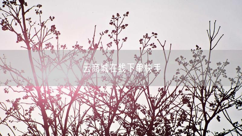 云商城在线下单快手