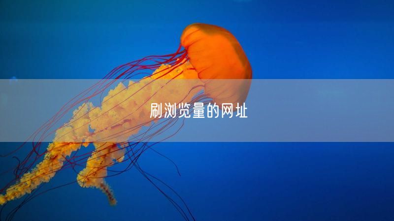 刷浏览量的网址