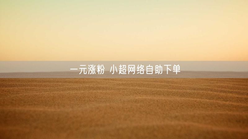 一元涨粉 小超网络自助下单