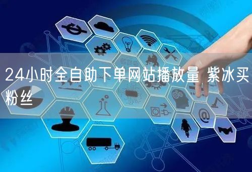 24小时全自助下单网站播放量 紫冰买粉丝