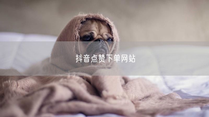 抖音点赞下单网站