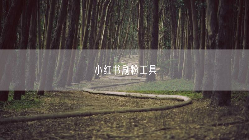 小红书刷粉工具