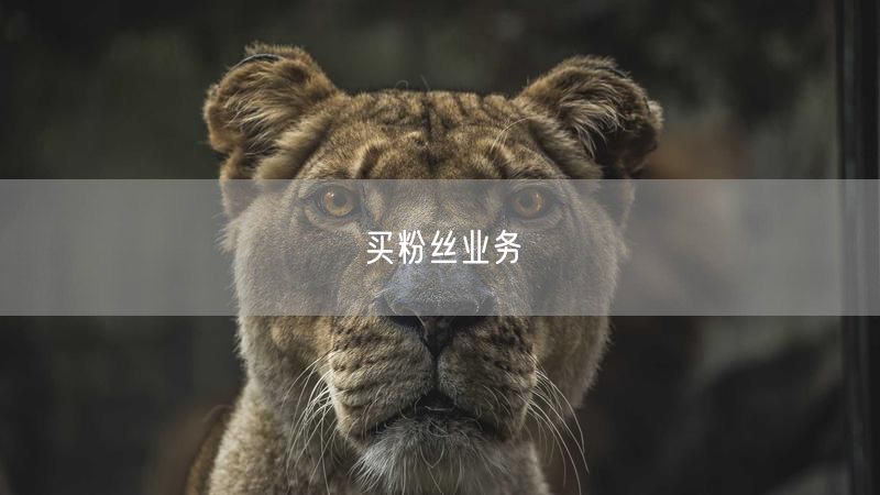 买粉丝业务