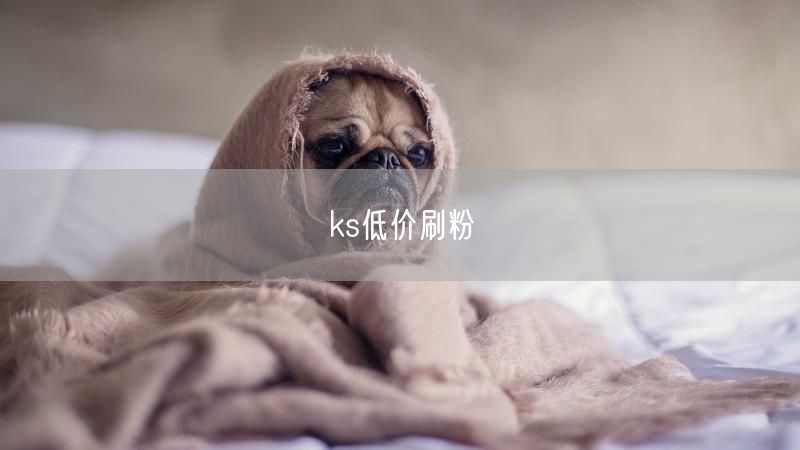 ks低价刷粉