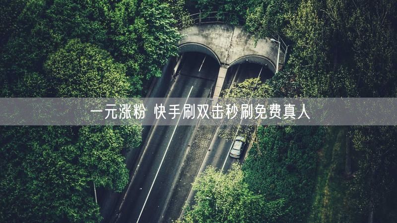 一元涨粉 快手刷双击秒刷免费真人