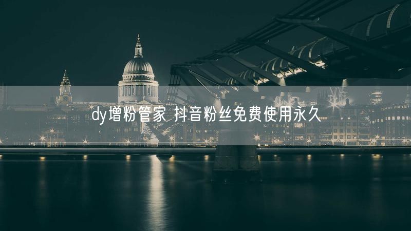 dy增粉管家 抖音粉丝免费使用永久