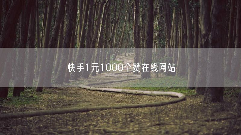 快手1元1000个赞在线网站