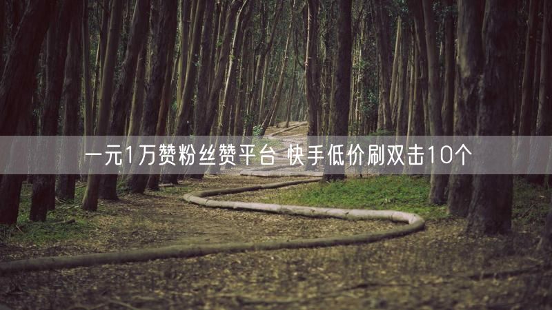 一元1万赞粉丝赞平台 快手低价刷双击10个