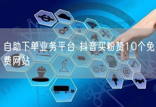 自助下单业务平台 抖音买粉赞10个免费网站