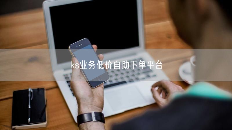 ks业务低价自助下单平台