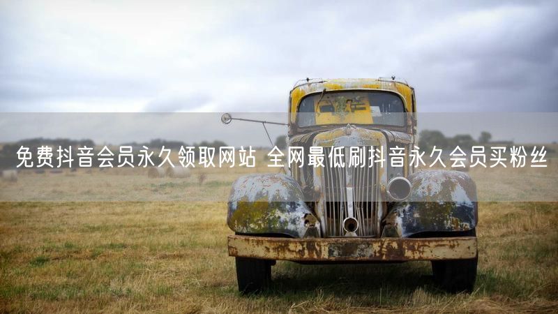 免费抖音会员永久领取网站 全网最低刷抖音永久会员买粉丝