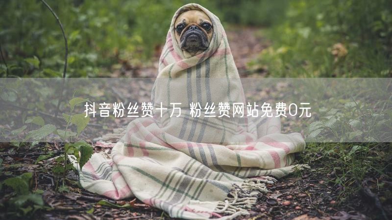 抖音粉丝赞十万 粉丝赞网站免费0元
