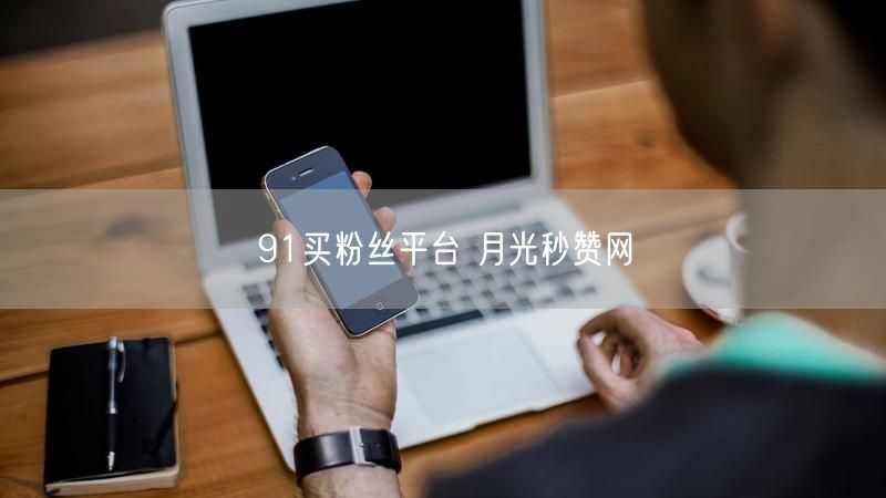 91买粉丝平台 月光秒赞网