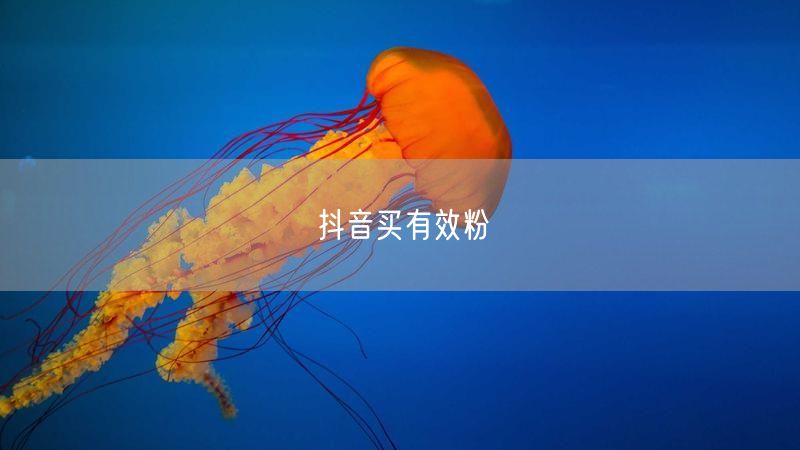 抖音买有效粉