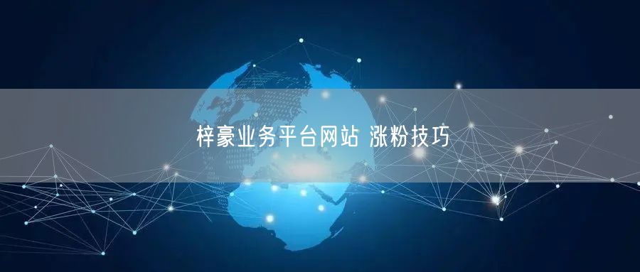 梓豪业务平台网站 涨粉技巧
