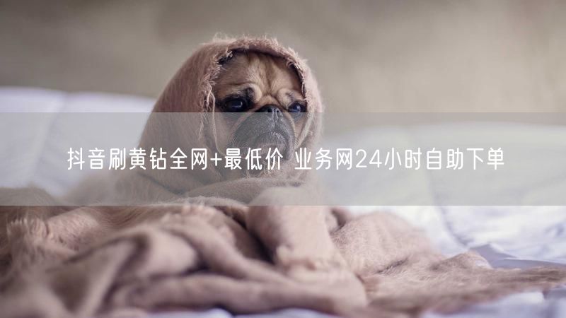 抖音刷黄钻全网+最低价 业务网24小时自助下单