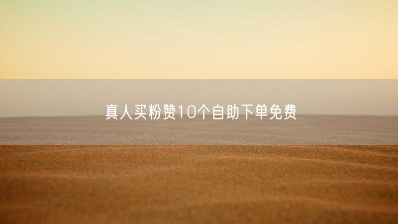 真人买粉赞10个自助下单免费