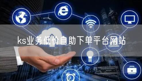 ks业务低价自助下单平台网站
