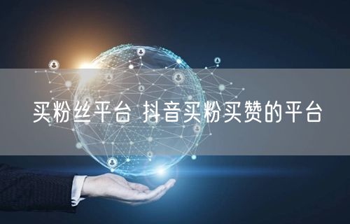 买粉丝平台 抖音买粉买赞的平台