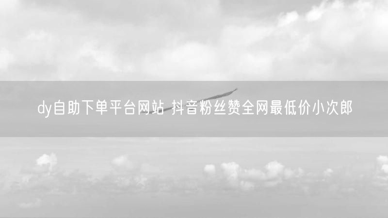 dy自助下单平台网站 抖音粉丝赞全网最低价小次郎