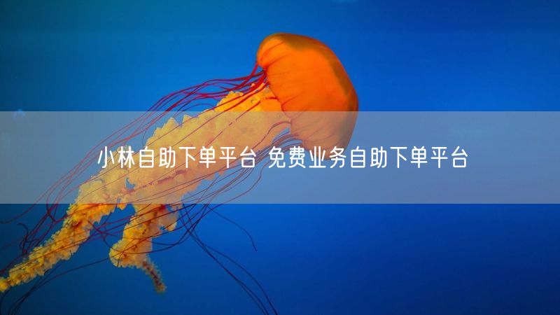小林自助下单平台 免费业务自助下单平台