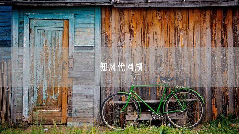 知风代网刷