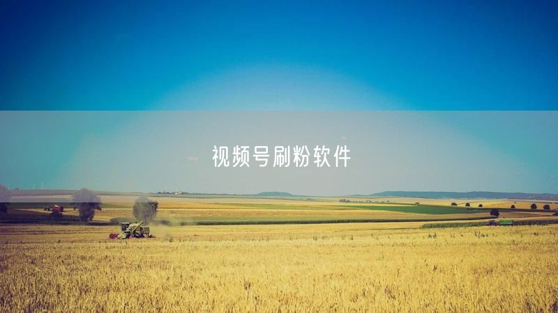 视频号刷粉软件