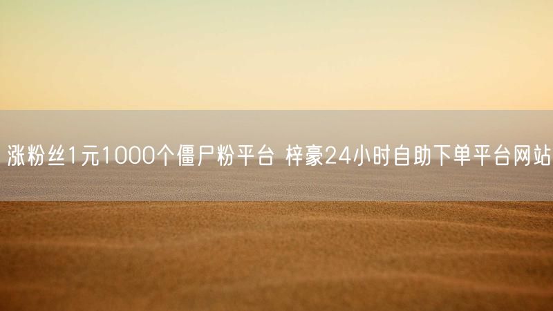 涨粉丝1元1000个僵尸粉平台 梓豪24小时自助下单平台网站