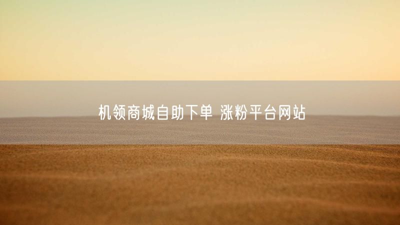 机领商城自助下单 涨粉平台网站